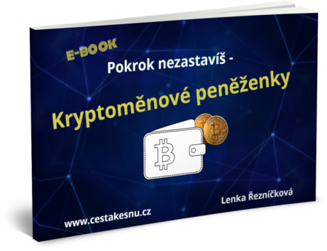 e-book Kryptoměnové peněženky